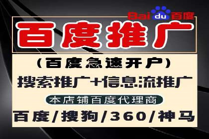 百度推广实战：成功企业的营销策略